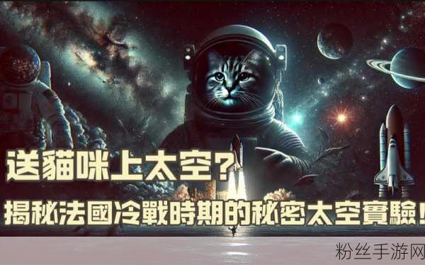 太空行动新角色揭秘，入殓师身份全解析