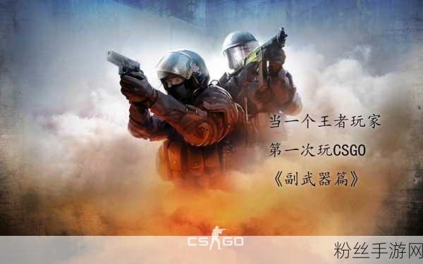 暴躁老阿姨CSGO技巧揭秘:1. "暴躁老阿姨的CSGO技巧大全:从新手到高手的秘籍