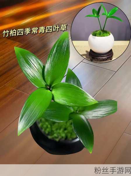 四叶草私人研究所的研究成果:1. 四叶草私人研究所揭示神秘植物的潜在药用价值