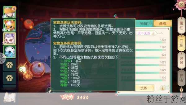 神雕侠侣2丐帮宠物选择秘籍，行走江湖的最佳拍档