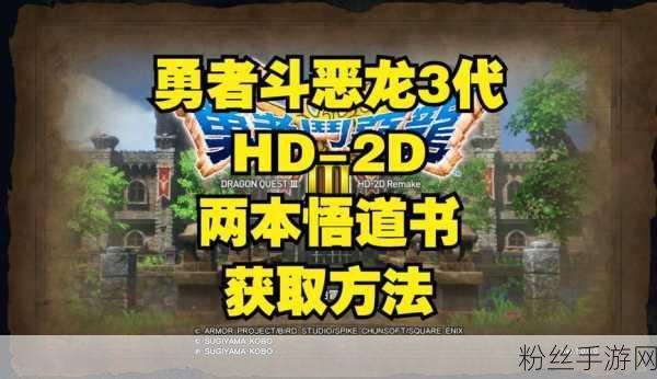 勇者斗恶龙3SFC金手指揭秘，悟饭游戏厅的终极秘籍与技巧大公开