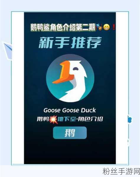鹅鸭杀注册难题全解析，轻松解锁游戏世界