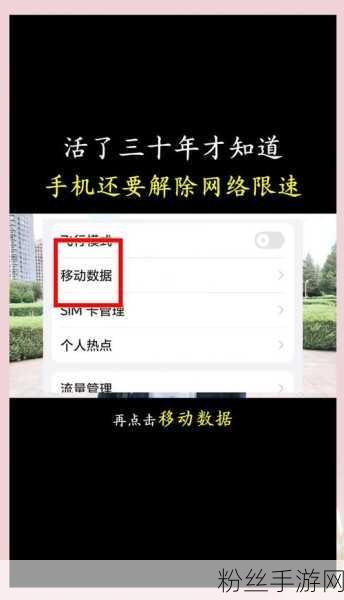 iPhone 4G网速变慢，手游玩家直呼伤不起！