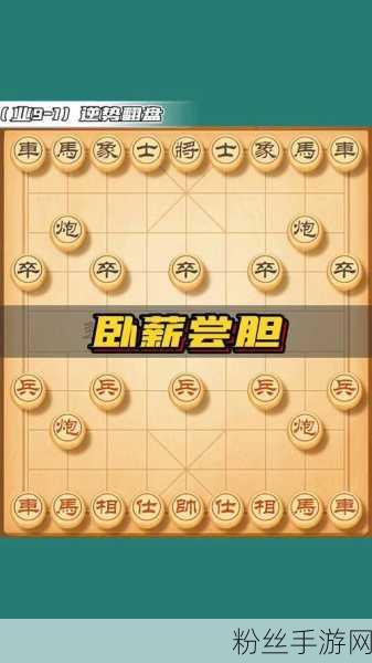 象棋网红锤子，棋艺真相大揭秘