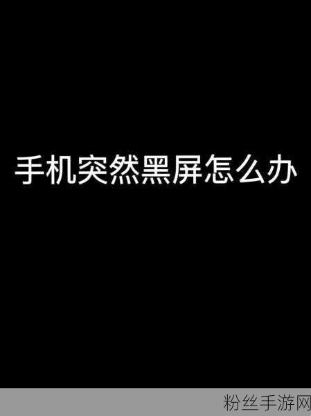 iPhone游戏畅玩中通话黑屏？这里有妙招！