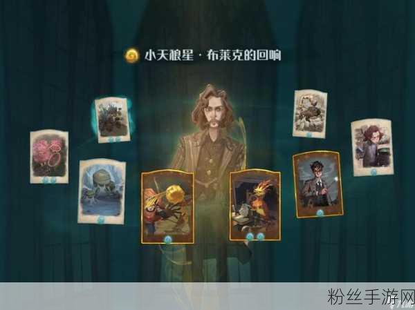 哈利波特魔法世界新探索，贝拉回响实战策略全揭秘