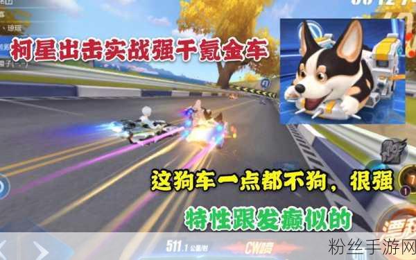 QQ飞车手游萌宠赛车柯星出击,上线时间大揭秘