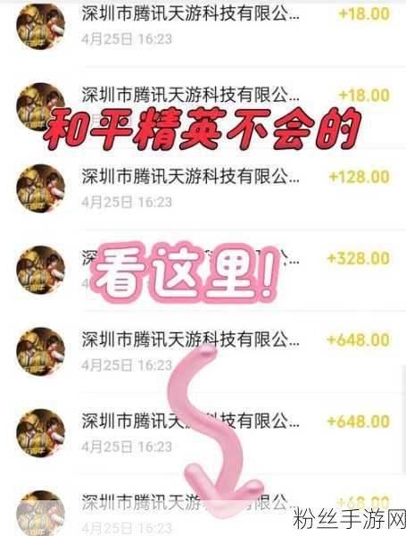 和平精英充值退款全攻略，家长必看的高效操作指南