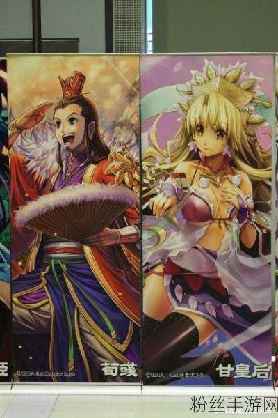 三国志大战TCG，策略与艺术的卡牌盛宴