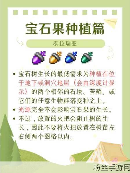 泰拉瑞亚探险新篇章，宝石树种植秘籍大公开