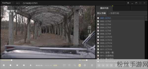 PotPlayer新技巧揭秘，轻松开启屏幕显示信息，提升手游观影体验