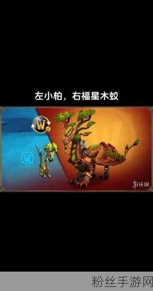 魔兽世界惊喜连连，导师的乌龟坐骑礼包等你来拿！