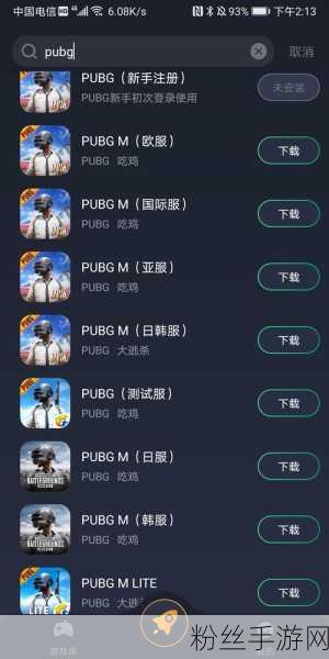 PUBG国际服新体验，探索刺激战场国际服设置界面的奥秘