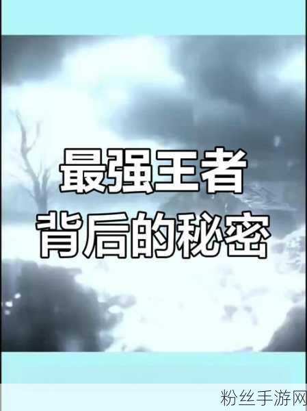 王者荣耀结算图标全揭秘，解锁你的战绩密码，探索荣耀背后的秘密