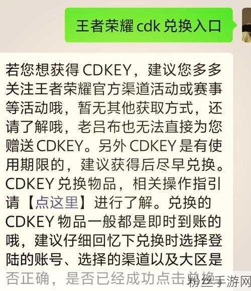 王者荣耀CDKEY礼包兑换全攻略，轻松解锁珍稀奖励