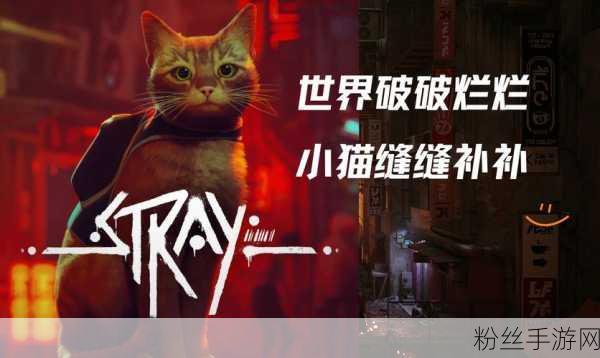 奇葩猫咪破门挑战，游戏SHOJINGSteam平台震撼登场