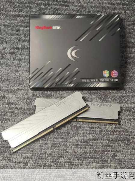 全新硬件加持，手游体验再升级，金百达银爵DDR5 6000与256G SSD深度解析