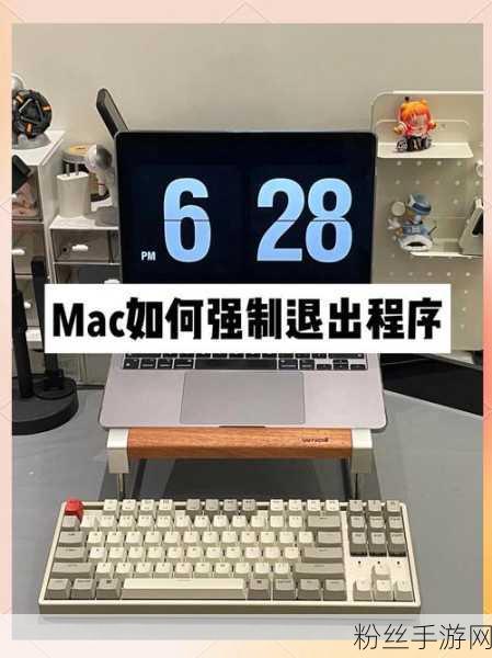 Mac玩家必看，掌握Safari强制退出技巧，畅享手游无卡顿