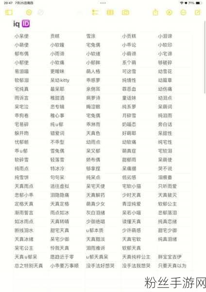 王者荣耀，探索稀有漂亮符号名字的魅力世界