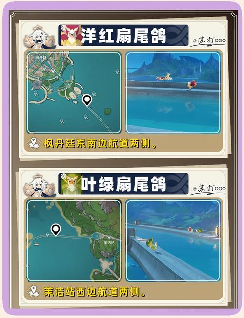 原神枫丹拍照征集与通关秘籍大揭秘