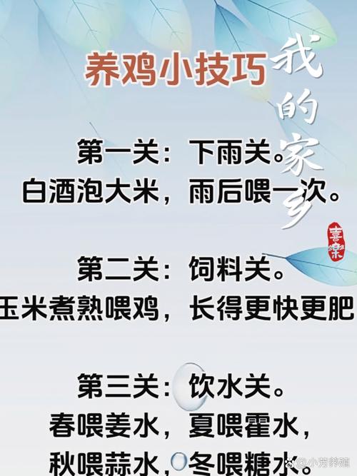 桃源记家禽养殖秘籍大公开