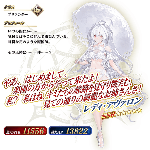 FGO 中神秘的身披角色者全解析