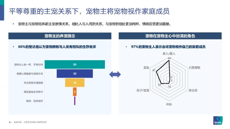 长安幻想奕剑宠物搭配秘籍,深度洞察与实战指南