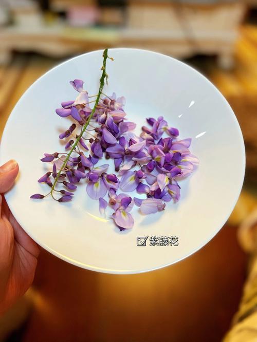 射雕手游，惊鸿台二楼紫藤花饼收集秘籍