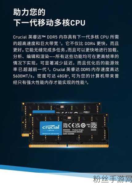 手游性能新飞跃，英睿达DDR5 4800与三星DDR5内存大比拼