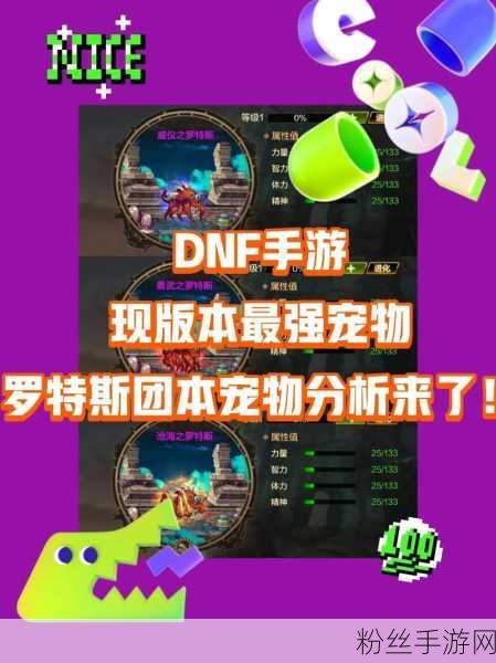 DNF手游宠物新宠儿，揭秘库帕斯获取全攻略