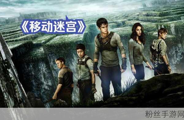 不思议迷宫深度探索,揭秘恒金升级极限与玩家热议